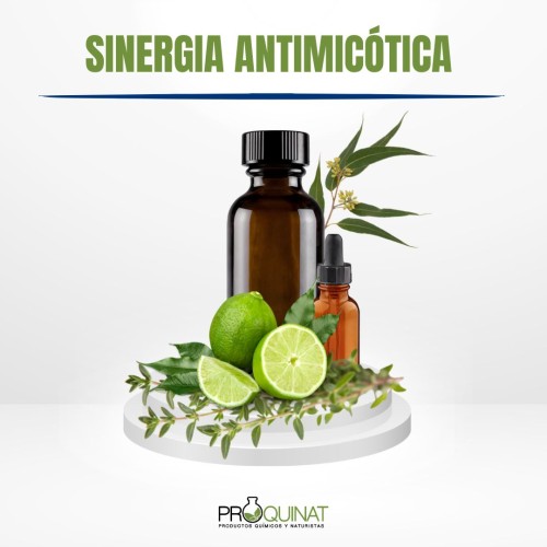 SINERGIAS ESENCIALES